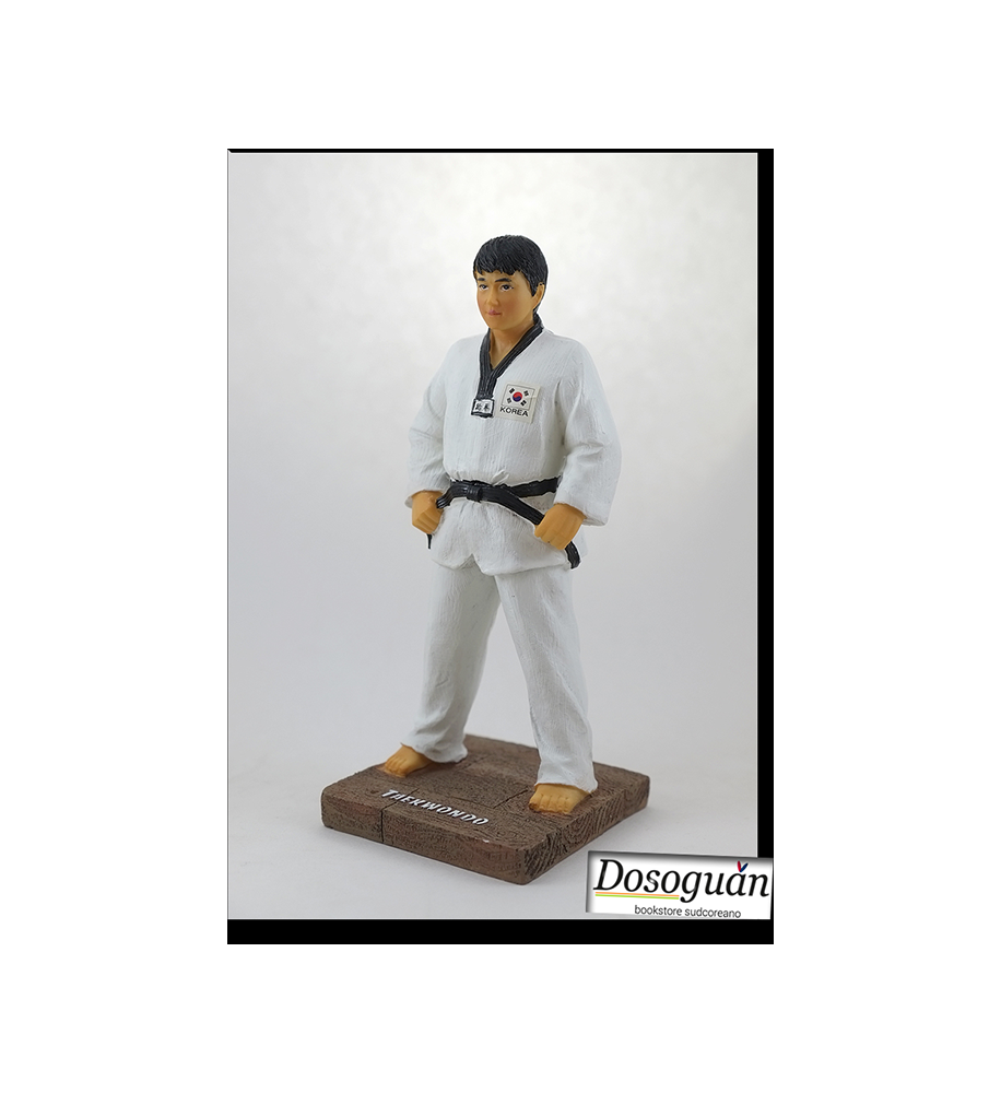 Taekwondo Figurine-action-figure-taekwondo-modellismo-statuina-karate-cintura-nera