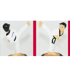 taekwondo-gadgets-dosoguan-martial-arts-action-figures-doll