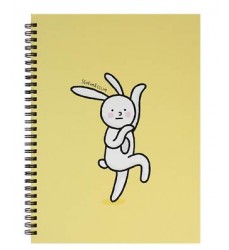 quaderno-A5_copertina-rigida-coniglio-buffo-kawaii-modello-cartoleria-coreana-shop-italiano-Dosoguan